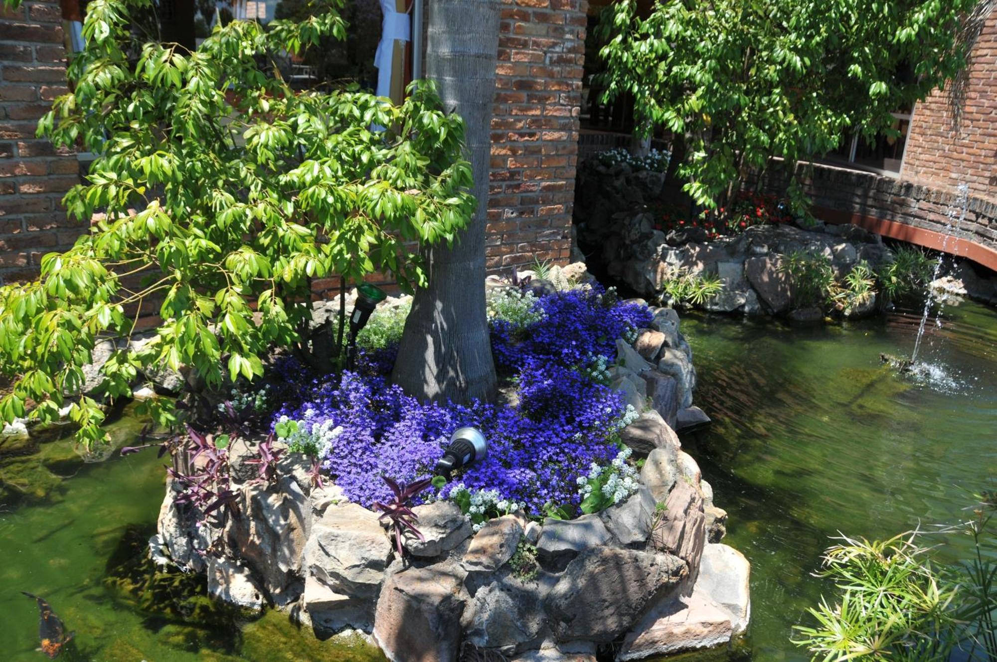 Hotel Jardines De Dayman Termas del Daymán Zewnętrze zdjęcie